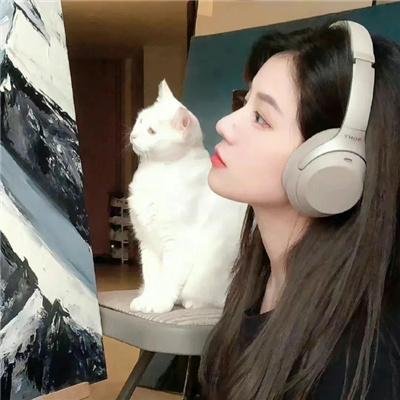 好莱坞高中